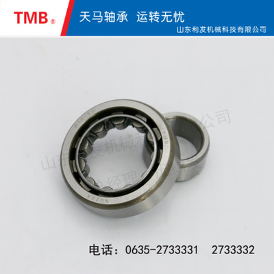 圆柱滚子轴承-NU204E