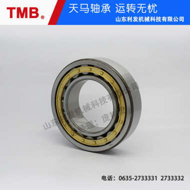 圆柱滚子轴承-N332EMZ1C3