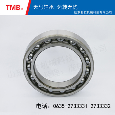 深沟球轴承-6040Z1C3