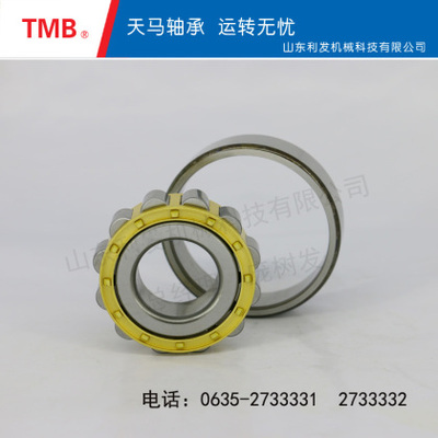 圆柱滚子轴承-N319E