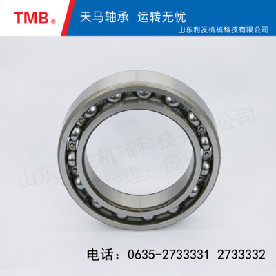 深沟球轴承-6036Z1C3