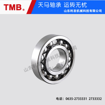 深沟球轴承-61838M