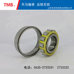 圆柱滚子轴承-N334EMC3