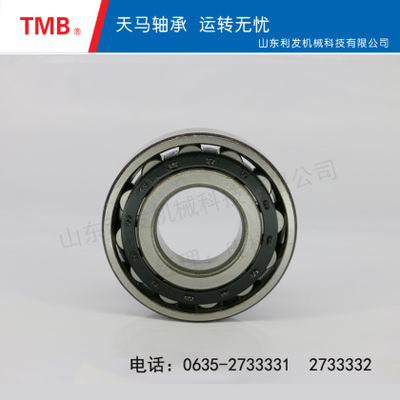 圆柱滚子轴承-NF205EVK